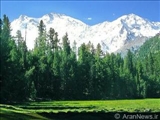 Qafqaz, dillərin dağı