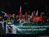 Türkiyədə Bəhreynə dəstək mitinqi 