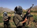 PKK - NIN TANINMASI HAQDA QANUN  