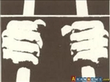 Bakıda həbs də olan günahsız İran vətəndaşı AR ali məhkəməsinə şikayət edib