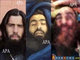 Suriyada daha üç azərbaycanlı Vəhhabi terrorçu həlak olub