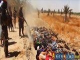 İŞİD terrorçuları 1500 şiəni qətlə yetirib
