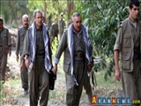 kürdlər Qarabağda ayağa qalxır?