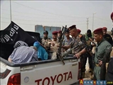 İŞİD terror qruplaşmasının 25 komandiri məhv edilib