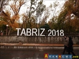 Təbriz-2018 üçün Üstün İdeya müsabiqəsi keçiriləcək