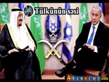 "Tülkünün səsi" Nardaranı bəhanə edir əslində şiə hədəfə alınıb