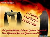 Həzrət Zəhra (s.ə) ilə Qurani-Kərimin 3 oxşarlığı