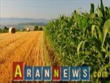 Azərbaycan kənd təsərrüfatında İranla əməkdaşlığa hazır olduğunu bildirib