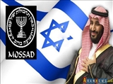 Məhəmməd ibn Salmanın mühafizəsini MOSSAD təşkil edir